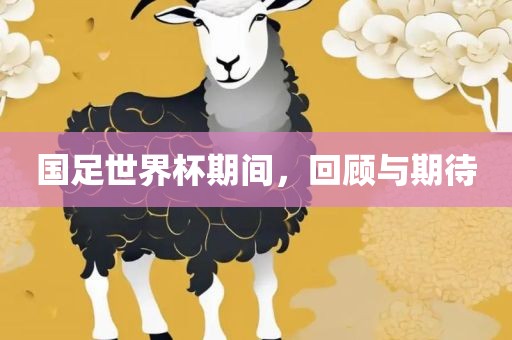 国足世界杯期间，回顾与期待