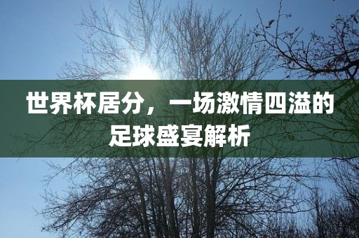 世界杯居分，一场激情四溢的足球盛宴解析漯河市盈旭机械设备有限公司