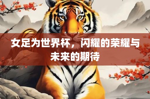 女足为世界杯，闪耀的荣耀与未来的期待