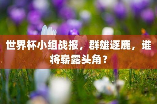 世界杯小组战报，群雄逐鹿，谁将崭露头角？