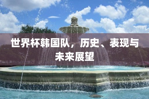 世界杯韩国队，历史、表现与未来展望
