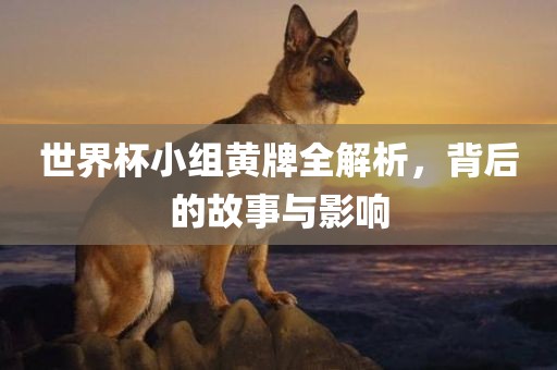 世界杯小组黄牌全解析，背后的故事与影响
