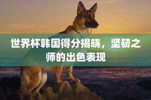 世界杯韩国得分揭晓，坚韧之师的出色表现
