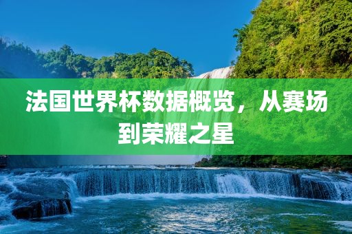 法国世界杯数据概览，从赛场到荣耀之星