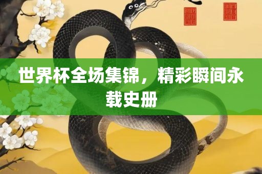 世界杯全场集锦，精彩瞬间永载史册漯河市盈旭机械设备有限公司