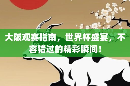 大阪观赛指南，世界杯盛宴，不容错过的精彩瞬间！