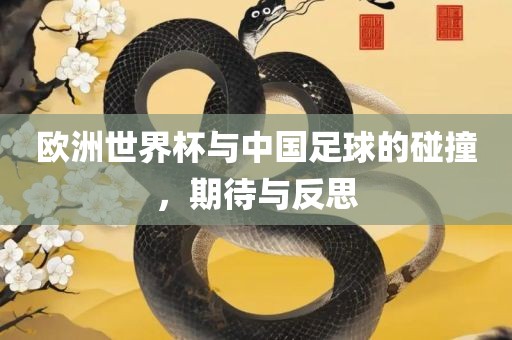 欧洲世界杯与中国足球的碰撞，期待与反思