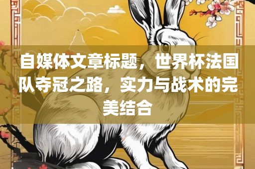 自媒体文章标题，世界杯法国队夺冠之路，实力与战术的完美结合