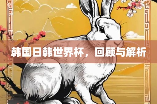 韩国日韩世界杯，回顾与解析