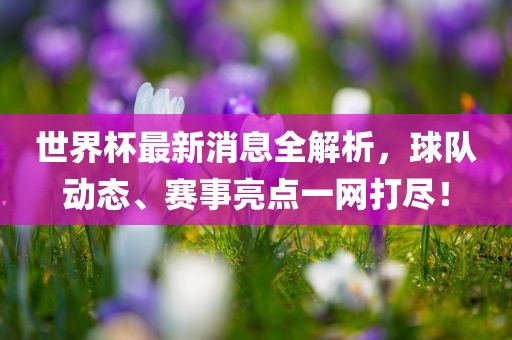 世界杯最新消息
