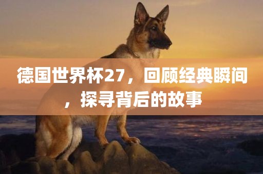 德国世界杯27，回顾经典瞬间，探寻背后的故事