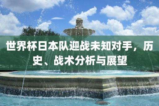 世界杯日本队迎战未知对手，历史、战术分析与展望