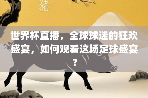 世界杯直播，全球球迷的狂欢盛宴，如何观看这场足球盛宴？