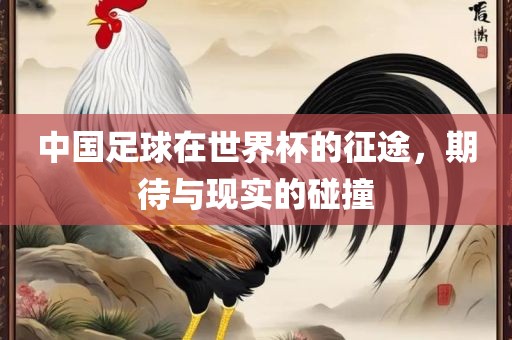 中国足球在世界杯的征途，期待与现实的碰撞
