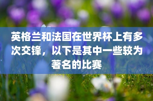 英格兰和法国在世界杯上有多次交锋，以下是其中一些较为著名的比赛漯河市盈旭机械设备有限公司