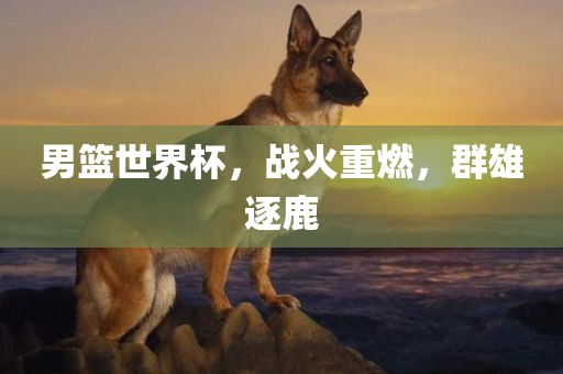 男篮世界杯，战火重燃，群雄逐鹿