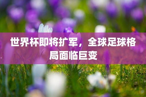 世界杯扩军