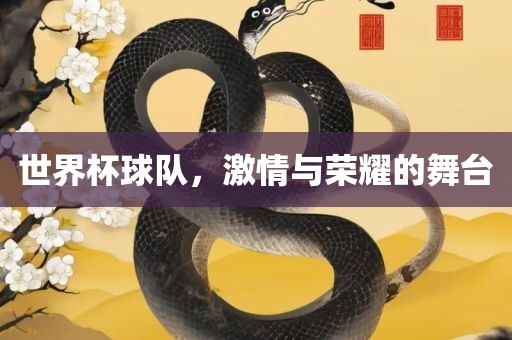 世界杯球队，激情与荣耀的舞台