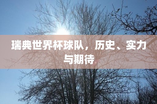 瑞典世界杯球队，历史、实力与期待