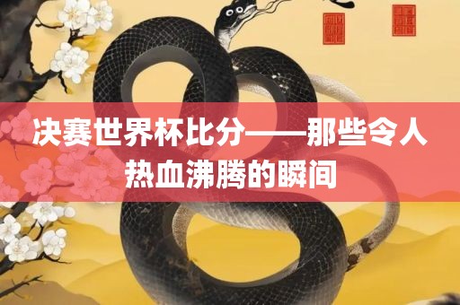 决赛世界杯比分——那些令人热血沸腾的瞬间漯河市盈旭机械设备有限公司