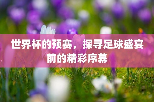 世界杯的预赛，探寻足球盛宴前的精彩序幕