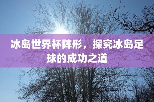 冰岛世界杯阵形，探究冰岛足球的成功之道