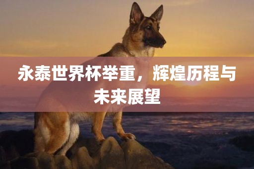 永泰世界杯举重，辉煌历程与未来展望