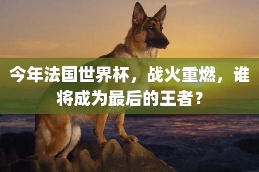 今年法国世界杯，战火重燃，谁将成为最后的王者？