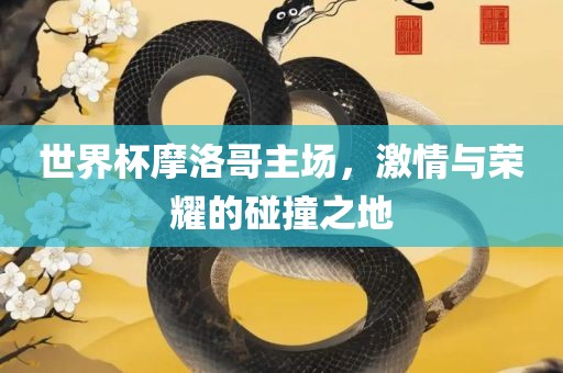 世界杯摩洛哥主场，激情与荣耀的碰撞之地
