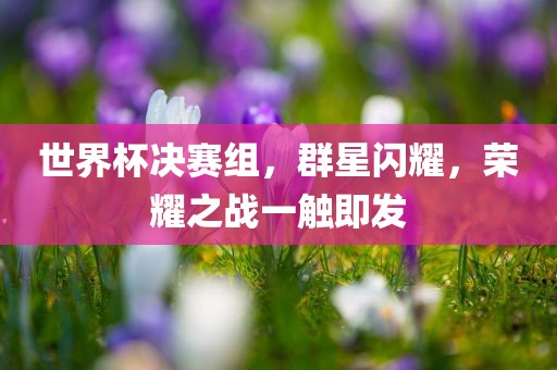世界杯决赛组，群星闪耀，荣耀之战一触即发