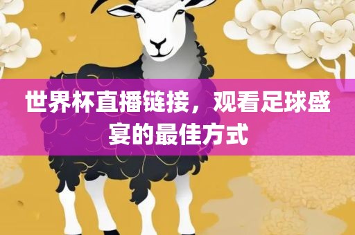 世界杯直播链接，观看足球盛宴的最佳方式