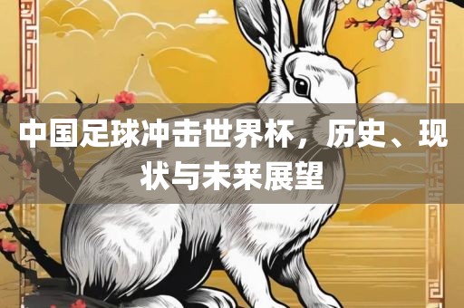中国足球冲击世界杯，历史、现状与未来展望