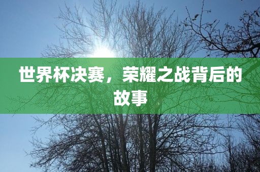 世界杯决赛，荣耀漯河市盈旭机械设备有限公司之战背后的故事