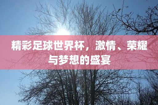 精彩足球世界杯，激情、荣耀与梦想的盛宴