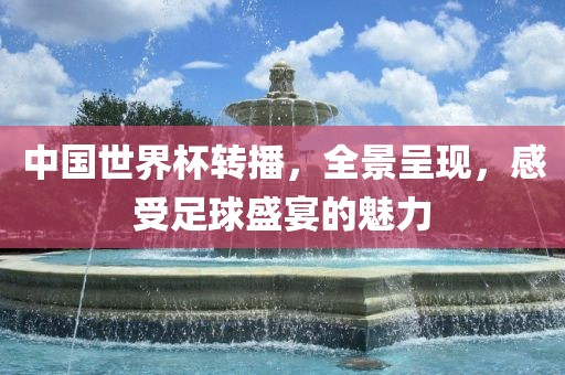 中国世界杯转播，全景呈现，感受足球盛宴的魅力