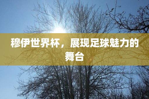 穆伊世界杯，展现足球魅力的舞台漯河市盈旭机械设备有限公司