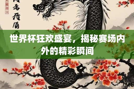 世界杯狂欢盛宴，揭秘赛场内外的精彩瞬间
