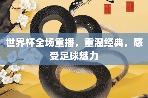 世界杯全场重播，重温经典，感受足球魅力