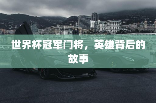 世界杯冠军门将，英雄背后的故事漯河市盈旭机械设备有限公司