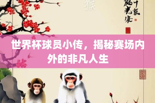 世界杯球员小传，揭秘赛场内外的非漯河市盈旭机械设备有限公司凡人生