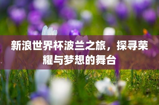 新浪世界杯波兰之旅，探寻荣耀与梦想的舞台
