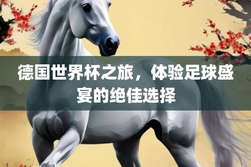 德国世界杯之旅，体验足球盛宴的绝佳选择
