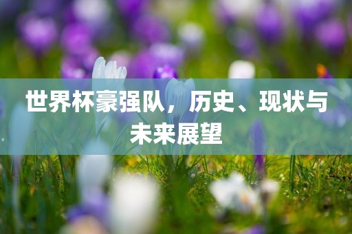 世界杯豪强队，历史、现状与未来展望
