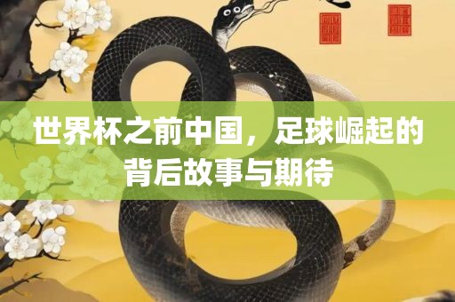 世界杯之前中国，足球崛起的背后故事与期待