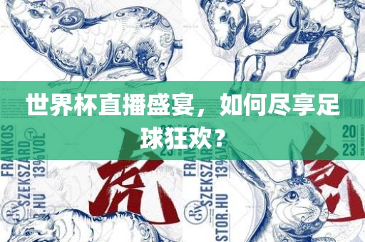 世界杯直播盛宴，如何尽享足球狂欢？