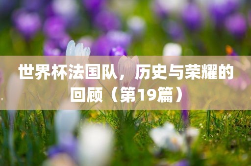 世界杯法国队，历史与荣耀的回顾（第19篇）