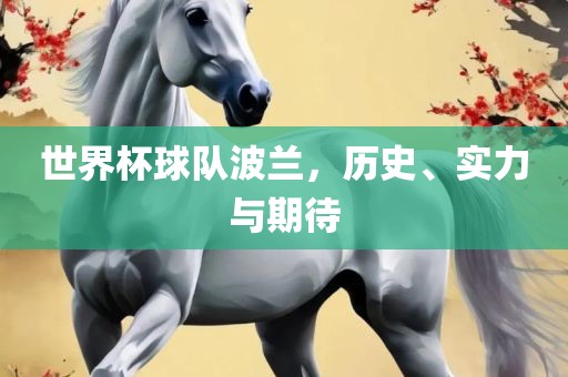世界杯球队波兰，历史、实力与期待
