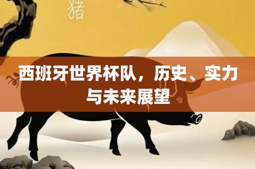 西班牙世界杯队，历史、实力与未来展望