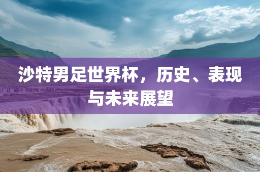沙特男足世界杯，历史、表现与未来展望