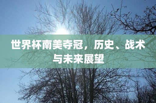 世界杯南美夺冠，历史、战术与未来展望